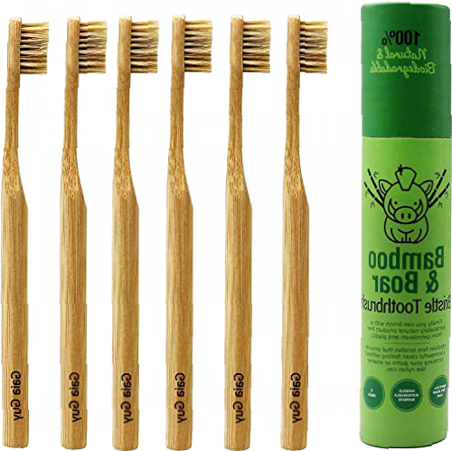 Gaia Guy - Natural Boar Bristle Bamboo Toothbrush - Compostable and Biodegradable