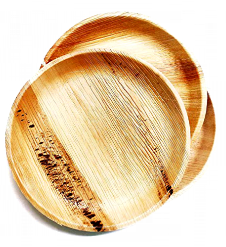 Areca Palm Leaf Eco-friendly Disposables Plates (Pack of 25 pcs) (10