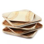 KAPCO 100% Biodegradable Palm Leaf Plates - All Natural & Disposable, Bamboo Like Tableware Set Pack of 25 (10 inch Square)