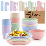 Plates and Bowls Set, Plastic Dinnerware Sets 40Pcs, Picnic Camping Dinner PP Sets, Party Dinner Plate Mug Cutlery Set, Unbreakable and Lightweight Serving Bowls, Cups, Forks, Tableware