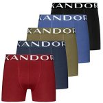 Kandor Men's (5-Pack) Super Soft Bamboo Boxer Shorts Breathable Soft Trunk Underwear(L,Pack A - Multi Set)