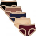 INNERSY Ladies Knickers Multipack Microfibre Pants Underwear for Women Nylon Hipster Panties 5 Pack (14, Classic Multicolour)